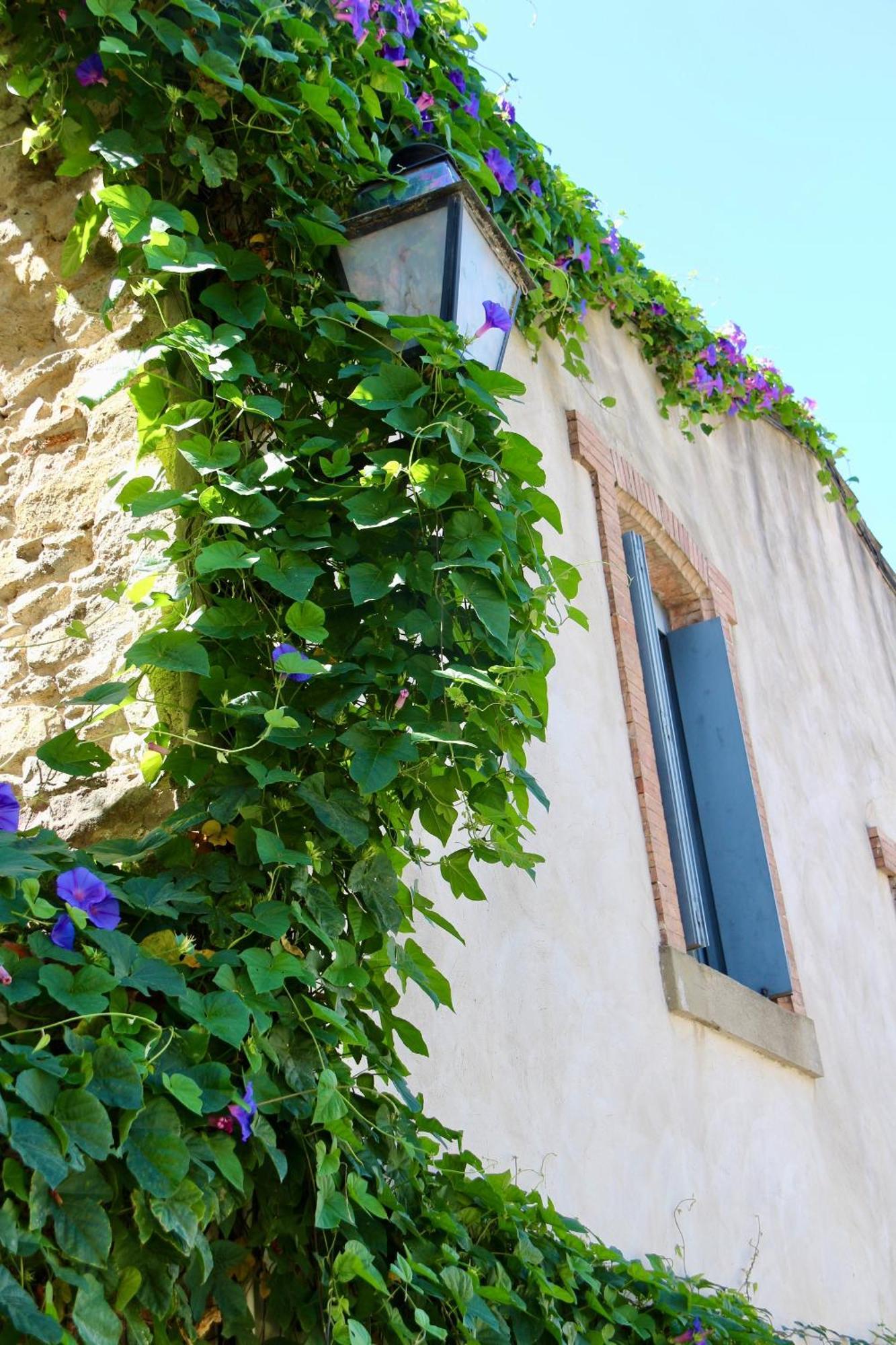 La Cite Secrete Villa Carcassonne Exterior foto